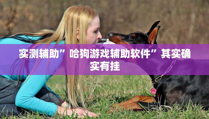 实测辅助”微乐红十怎么开挂”(详细开挂教程)