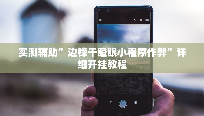 实测辅助”边锋干瞪眼小程序作弊”详细开挂教程