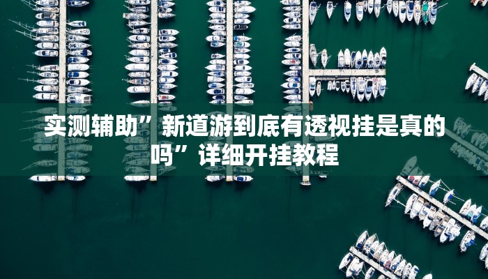 实测辅助”新道游到底有透视挂是真的吗”详细开挂教程