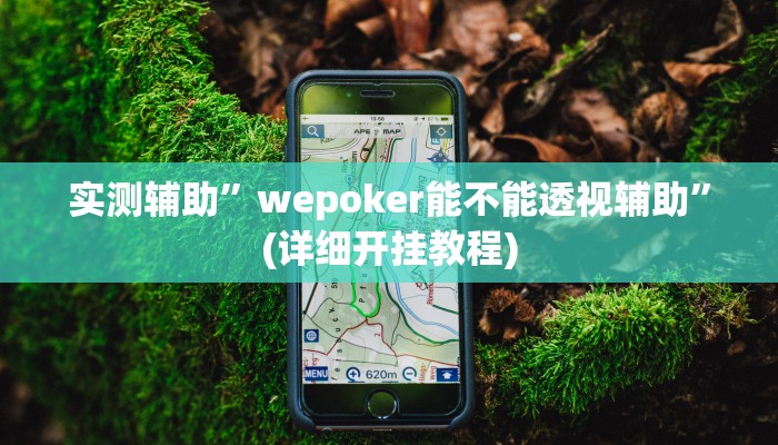 实测辅助”人海大厅透视开挂”(详细开挂教程)