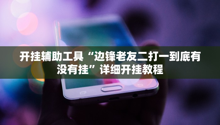 实测辅助”家乡大贰开挂怎么买”(详细开挂教程)
