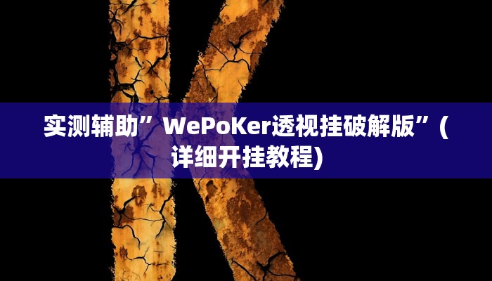 实测辅助”德扑之星用挂开挂软件”(详细开挂教程)