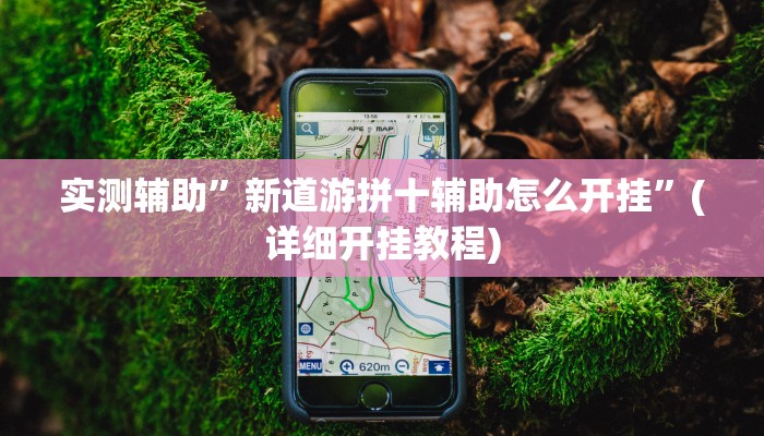 实测辅助”新道游拼十辅助怎么开挂”(详细开挂教程)