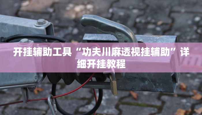 实测辅助”多乐跑胡子透视”(详细开挂教程)