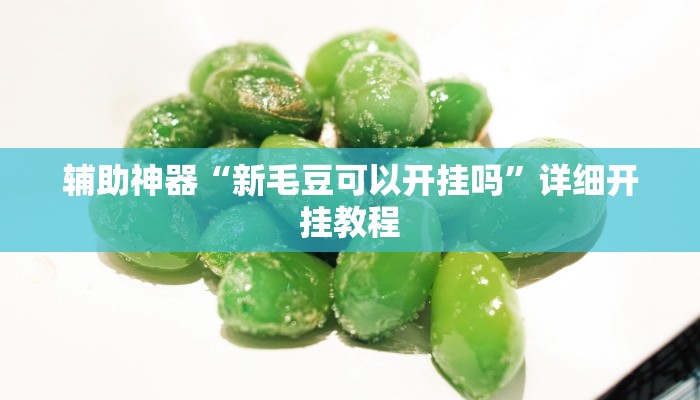 辅助神器“新毛豆可以开挂吗”详细开挂教程
