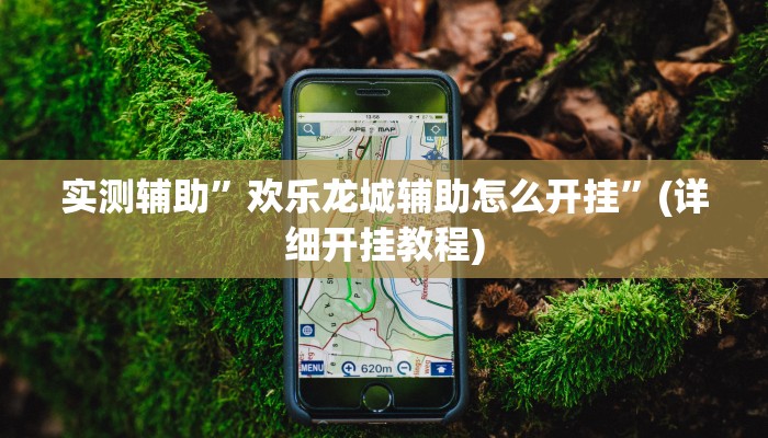 实测辅助”欢乐龙城辅助怎么开挂”(详细开挂教程)