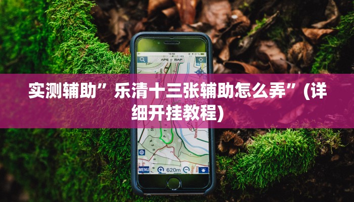 实测辅助”乐清十三张辅助怎么弄”(详细开挂教程)