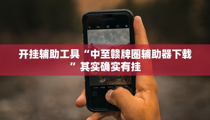 开挂辅助工具“中至赣牌圈辅助器下载”其实确实有挂