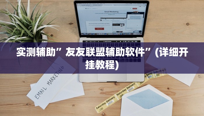 实测辅助”友友联盟辅助软件”(详细开挂教程)