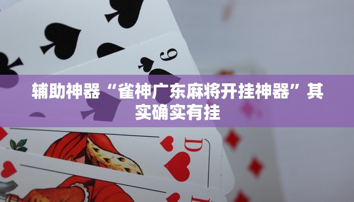 辅助神器“雀神广东麻将开挂神器”其实确实有挂