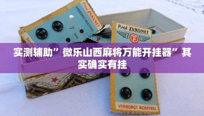 实测辅助”微乐山西麻将万能开挂器”其实确实有挂
