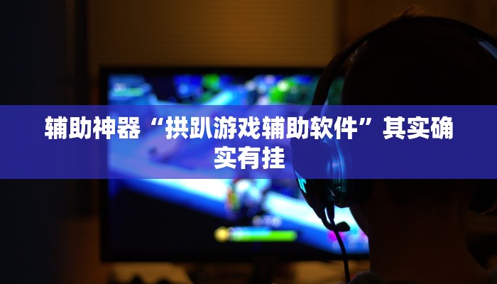 辅助神器“拱趴游戏辅助软件”其实确实有挂