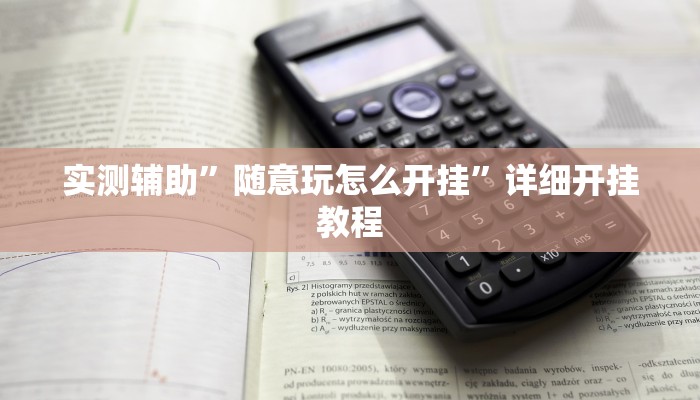 实测辅助”随意玩怎么开挂”详细开挂教程