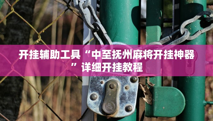 开挂辅助工具“中至抚州麻将开挂神器”详细开挂教程