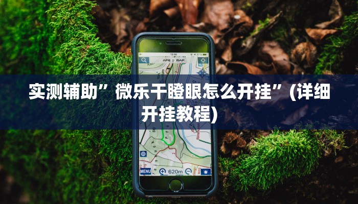 实测辅助”微乐干瞪眼怎么开挂”(详细开挂教程)