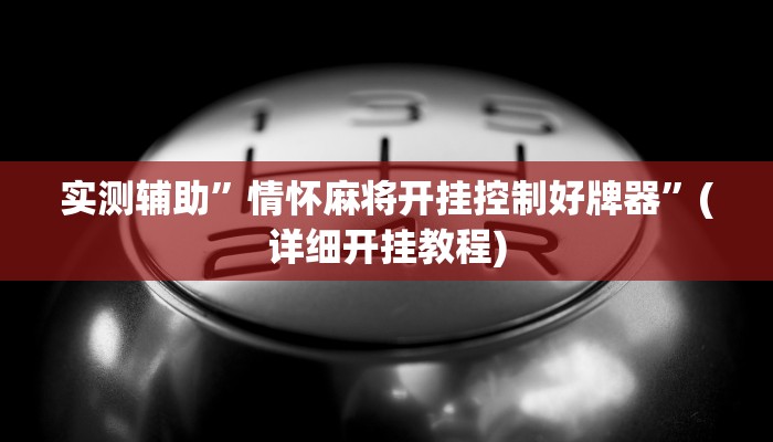 实测辅助”德扑之星开挂辅助”(详细开挂教程)
