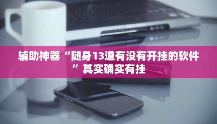 辅助神器“随身13道有没有开挂的软件”其实确实有挂