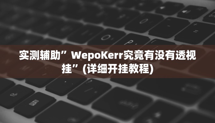 实测辅助”WepoKerr究竟有没有透视挂”(详细开挂教程)