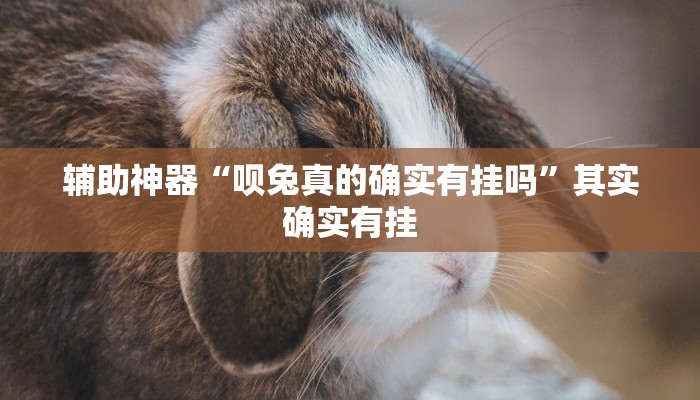 辅助神器“呗兔真的确实有挂吗”其实确实有挂