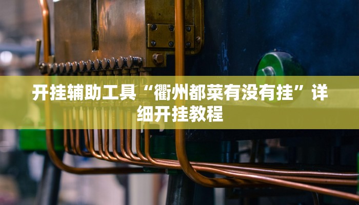 开挂辅助工具“衢州都菜有没有挂”详细开挂教程