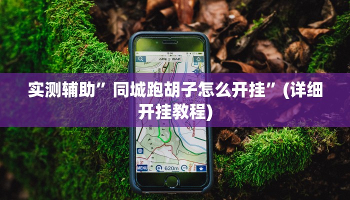 实测辅助”同城跑胡子怎么开挂”(详细开挂教程)
