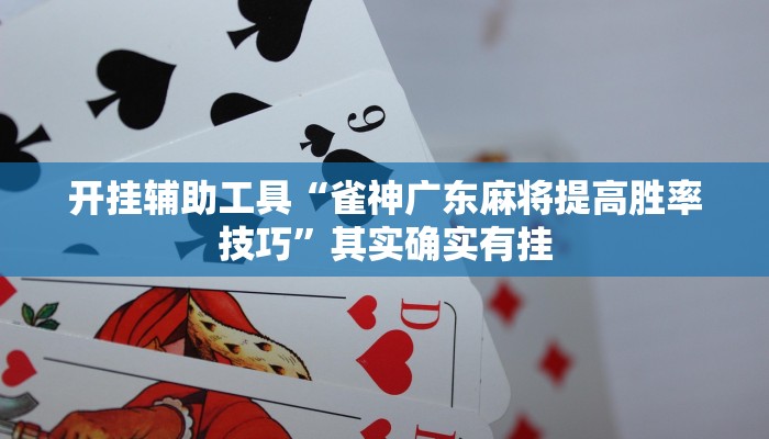 开挂辅助工具“雀神广东麻将提高胜率技巧”其实确实有挂