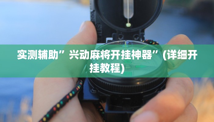 实测辅助”兴动麻将开挂神器”(详细开挂教程)
