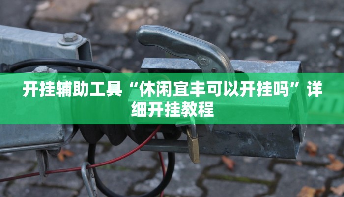 开挂辅助工具“休闲宜丰可以开挂吗”详细开挂教程