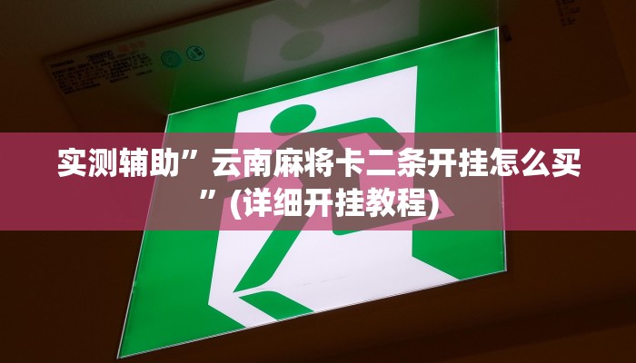 实测辅助”云南麻将卡二条开挂怎么买”(详细开挂教程)
