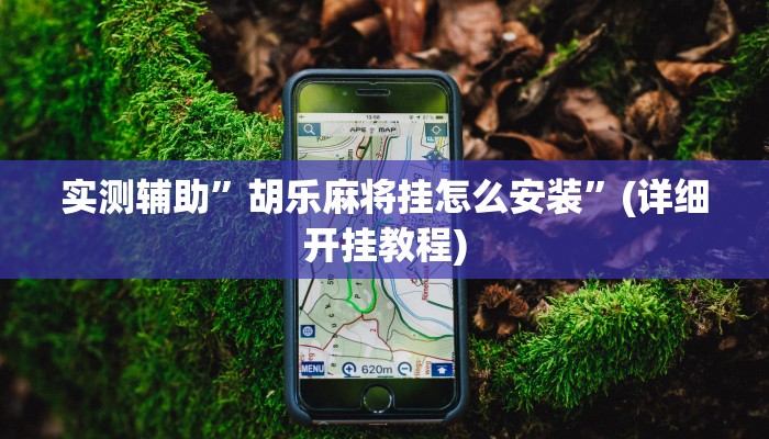 实测辅助”胡乐麻将挂怎么安装”(详细开挂教程)