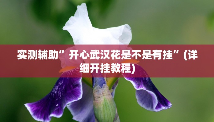 实测辅助”开心武汉花是不是有挂”(详细开挂教程)