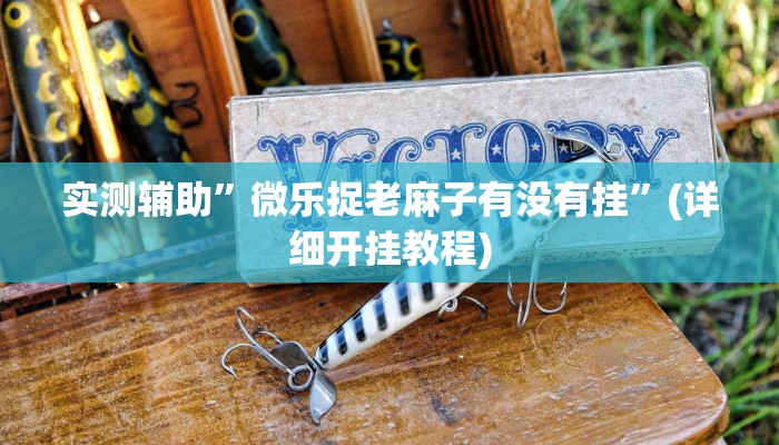 实测辅助”微乐捉老麻子有没有挂”(详细开挂教程)