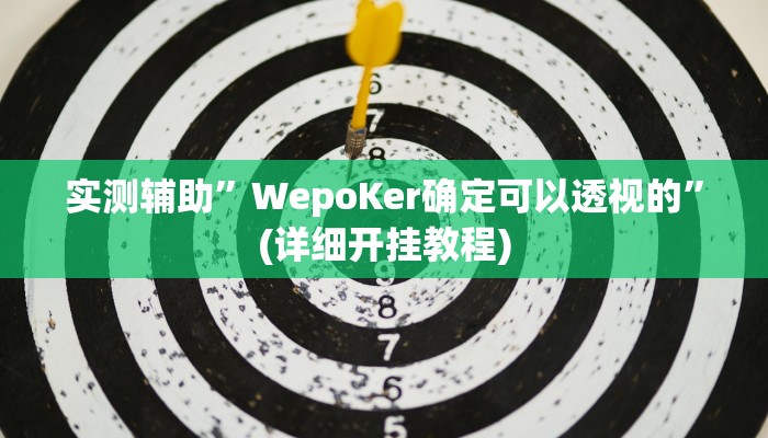 实测辅助”WepoKer确定可以透视的”(详细开挂教程)