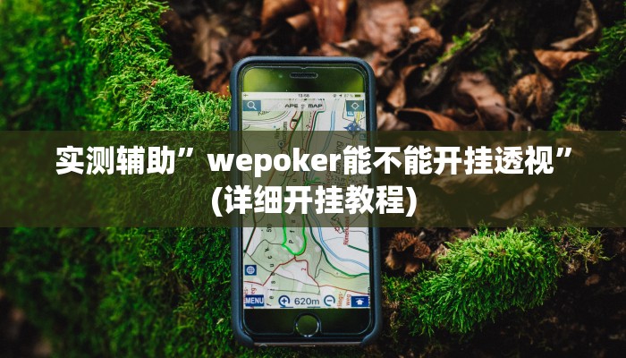 实测辅助”wepoker能不能开挂透视”(详细开挂教程)