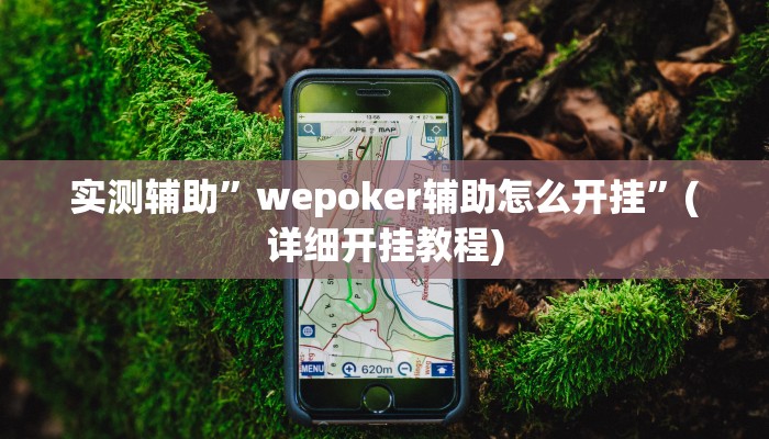 实测辅助”wepoker辅助怎么开挂”(详细开挂教程)