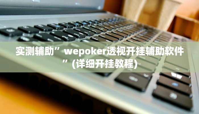 实测辅助”wepoker透视开挂辅助软件”(详细开挂教程)