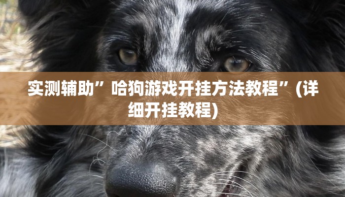 实测辅助”哈狗游戏开挂方法教程”(详细开挂教程)