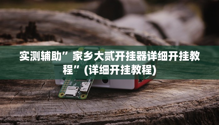 实测辅助”家乡大贰开挂器详细开挂教程”(详细开挂教程)