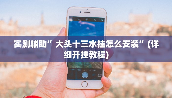 实测辅助”大头十三水挂怎么安装”(详细开挂教程)