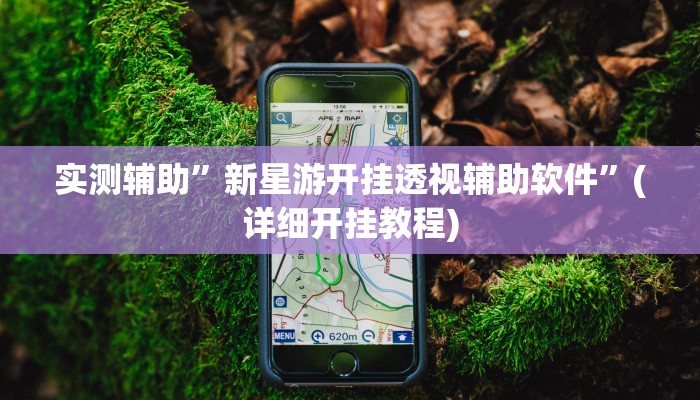 实测辅助”新星游开挂透视辅助软件”(详细开挂教程)
