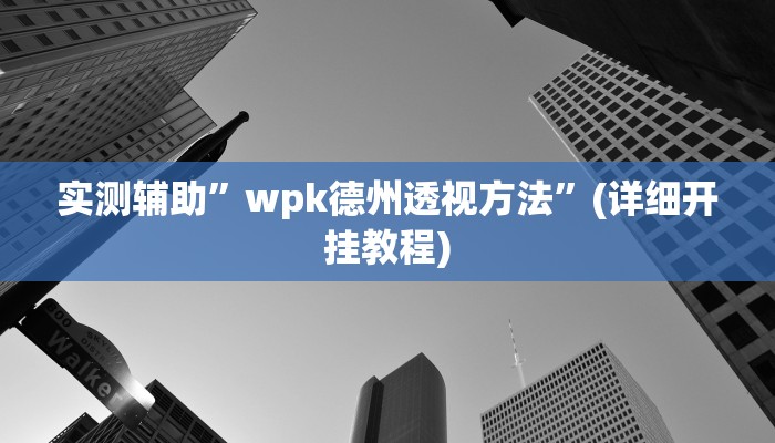 实测辅助”wpk德州透视方法”(详细开挂教程)