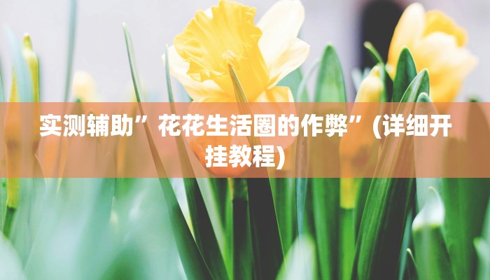 实测辅助”花花生活圈的作弊”(详细开挂教程)