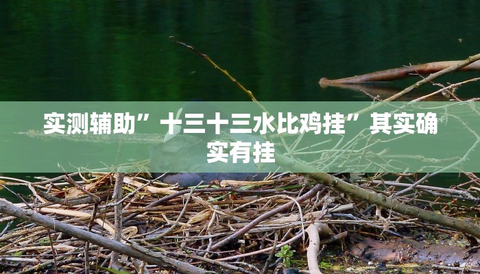 实测辅助”十三十三水比鸡挂”其实确实有挂