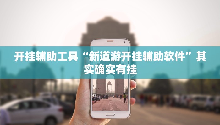 开挂辅助工具“新道游开挂辅助软件”其实确实有挂