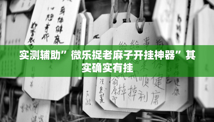 实测辅助”微乐捉老麻子开挂神器”其实确实有挂