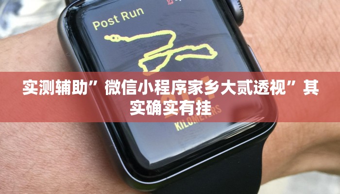 实测辅助”微信小程序家乡大贰透视”其实确实有挂
