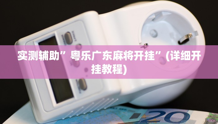 实测辅助”蜀山麻将辅助开挂”(详细开挂教程)