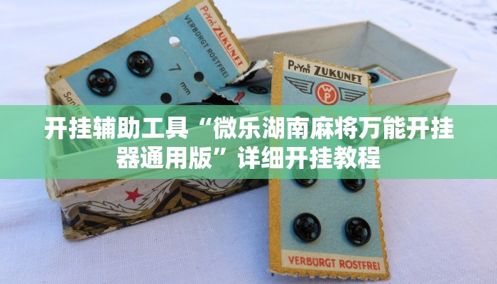 开挂辅助工具“微乐湖南麻将万能开挂器通用版”详细开挂教程