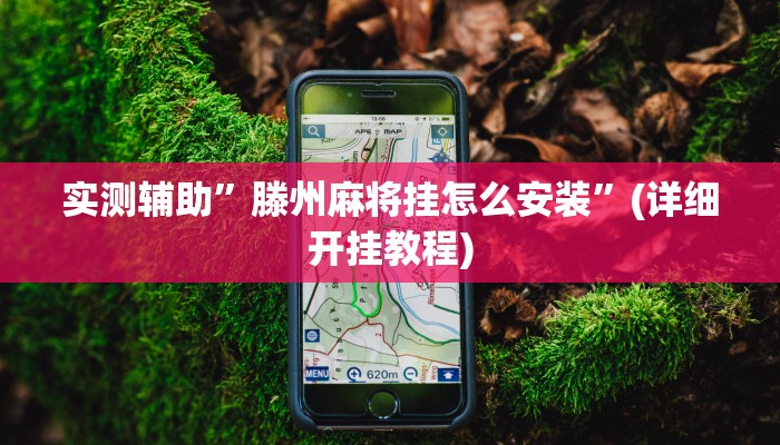 实测辅助”滕州麻将挂怎么安装”(详细开挂教程)