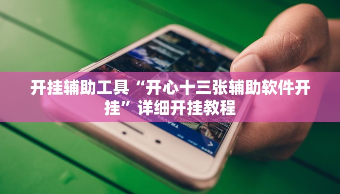开挂辅助工具“开心十三张辅助软件开挂”详细开挂教程